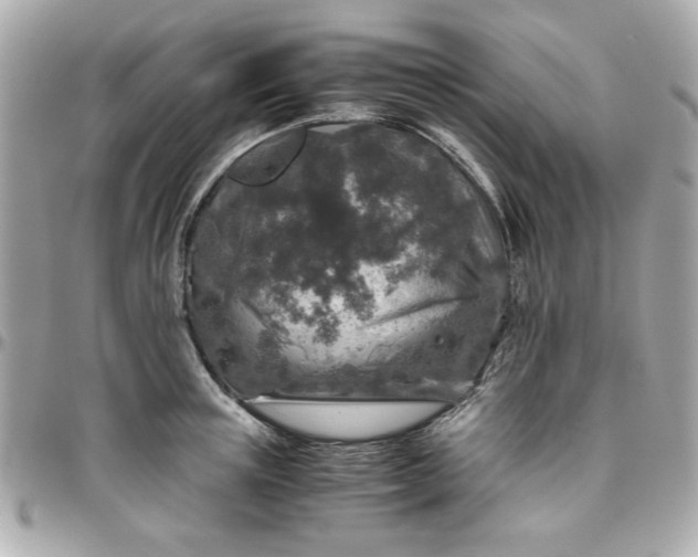 X0000096480851200802071918