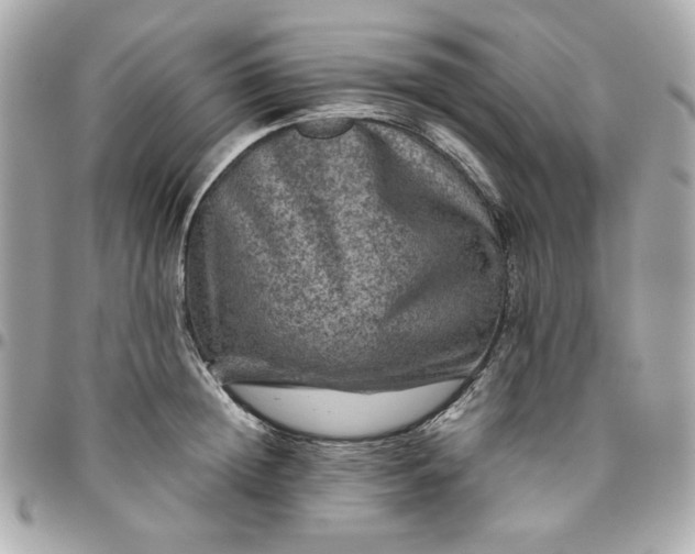 X0000096480852200802071918