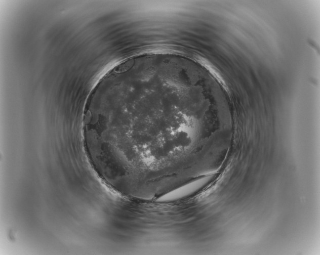 X0000096480853200802071918