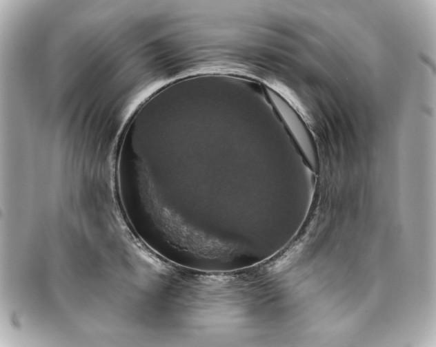 X0000096480854200802071918