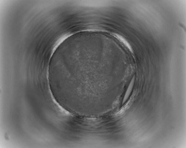 X0000096480855200802071918