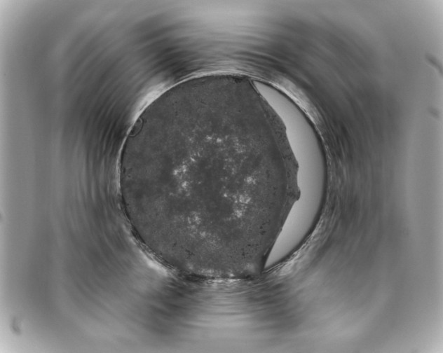 X0000096480858200802071918