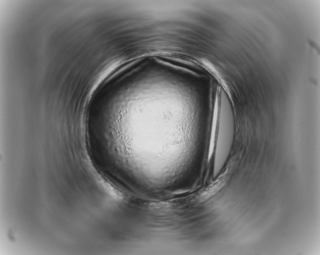 X0000096480859200802071918