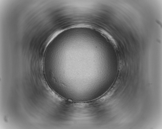 X0000096480860200802071918