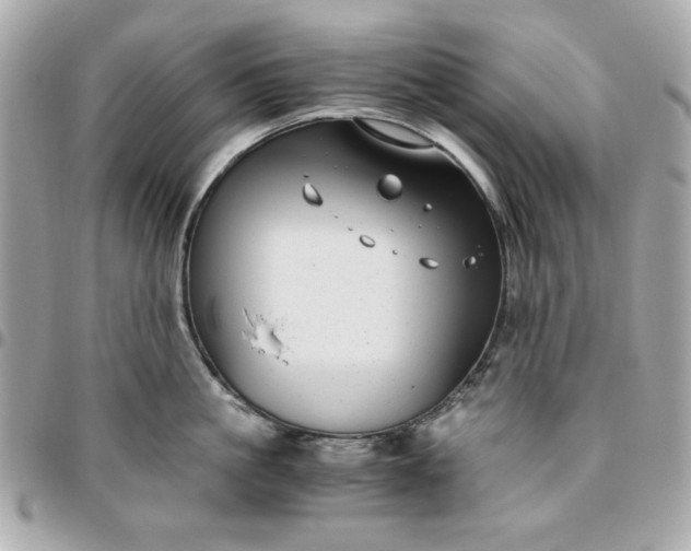 X0000096480861200802071918