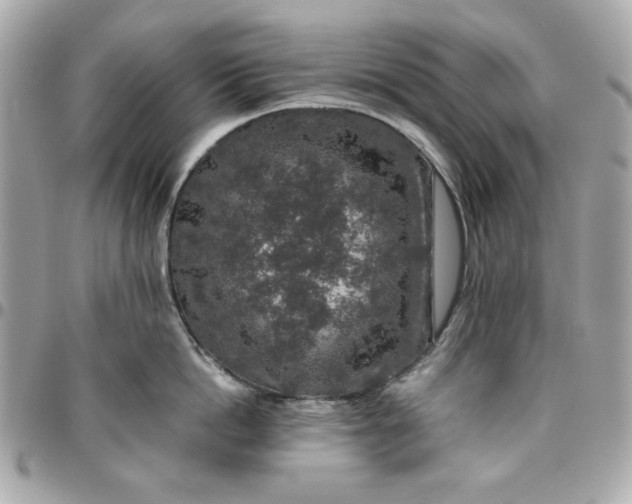 X0000096480862200802071918