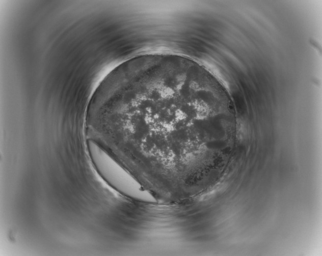 X0000096480863200802071918