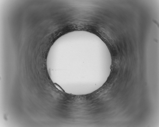 X0000096480865200802071917