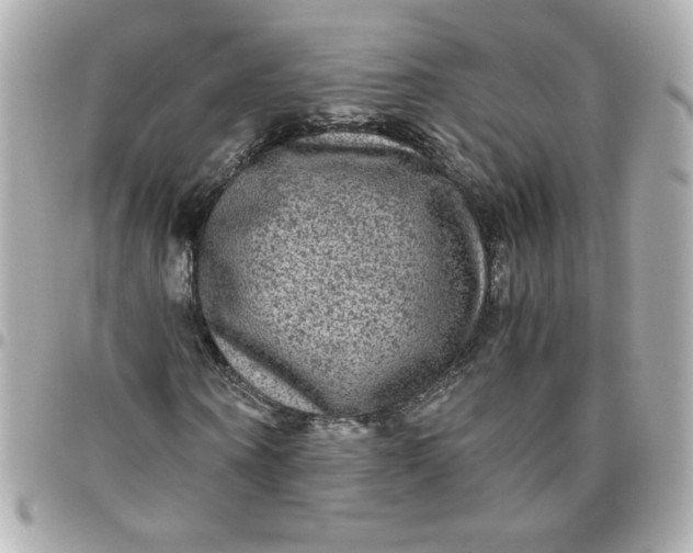 X0000096480866200802071917