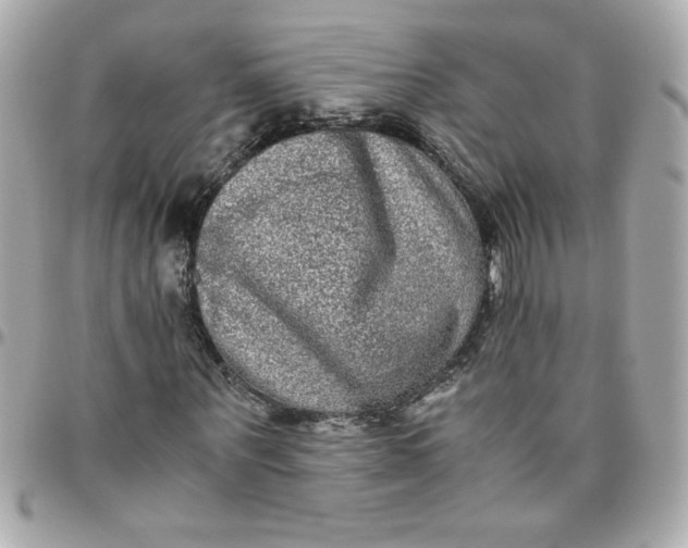 X0000096480867200802071917