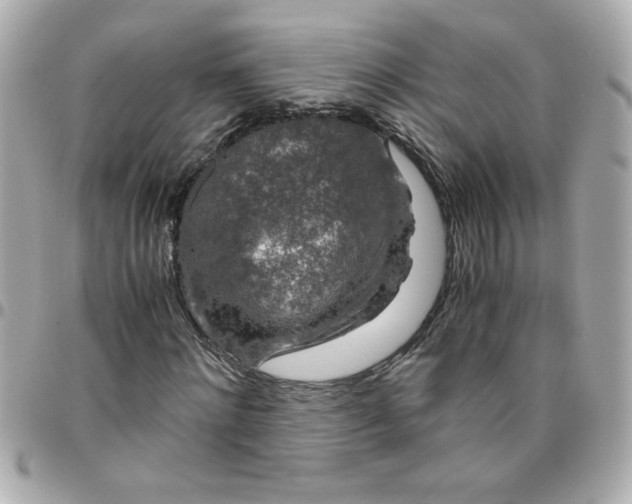 X0000096480868200802071917