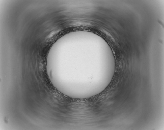 X0000096480869200802071917