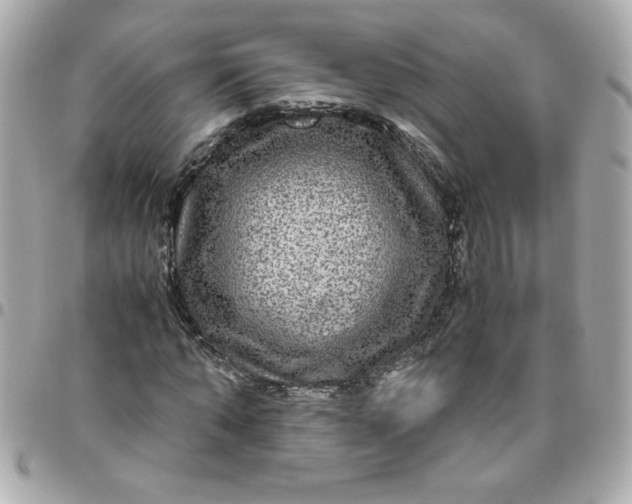 X0000096480870200802071917