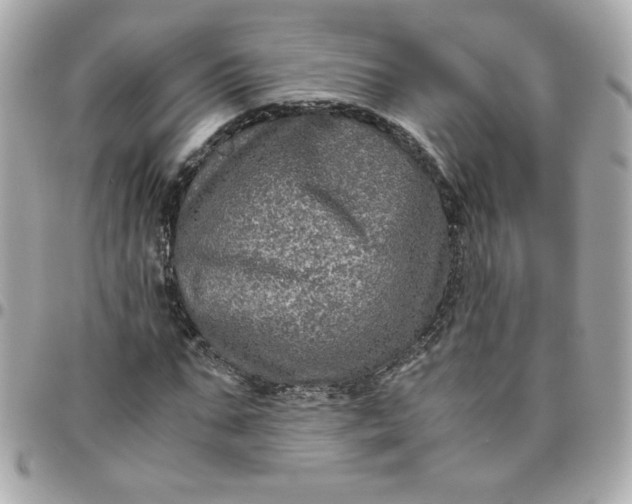 X0000096480871200802071917