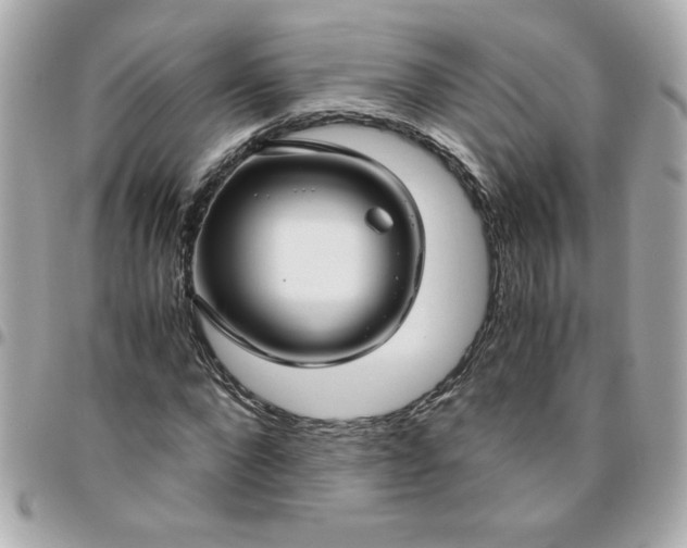 X0000096480872200802071917