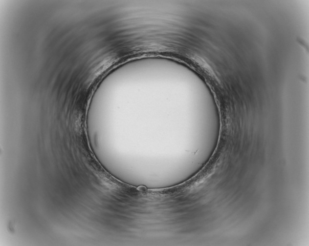 X0000096480873200802071917