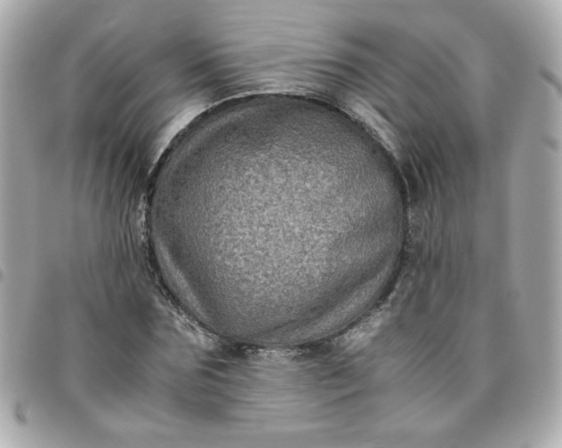 X0000096480875200802071917