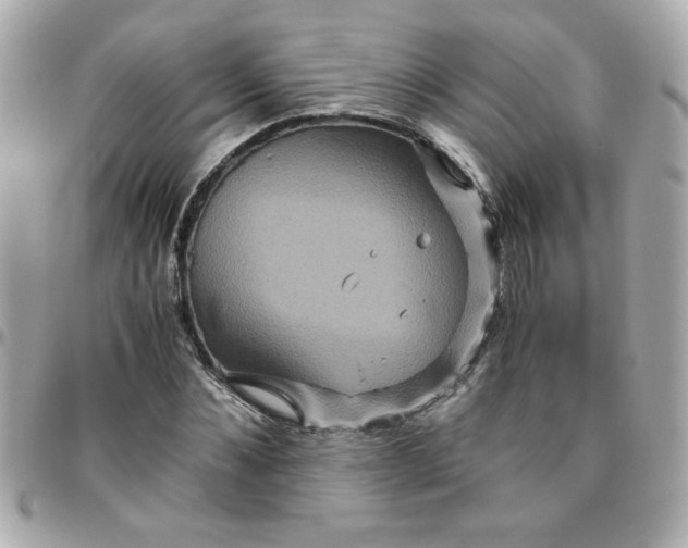 X0000096480876200802071917