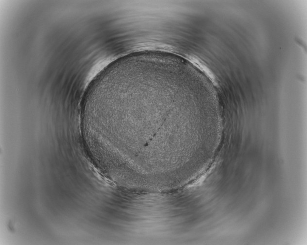 X0000096480877200802071917