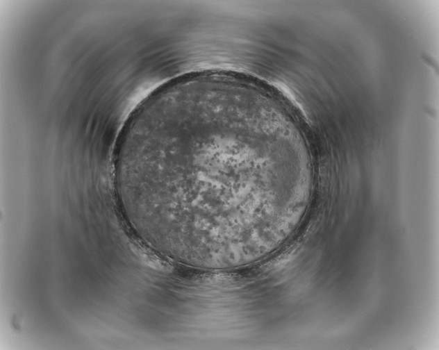 X0000096480879200802071917