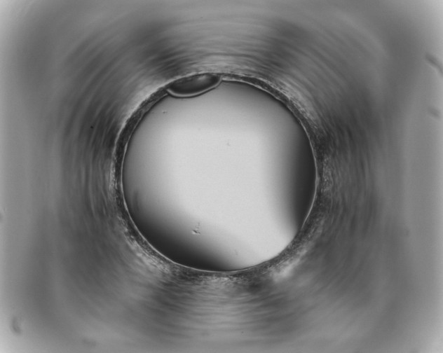 X0000096480880200802071917