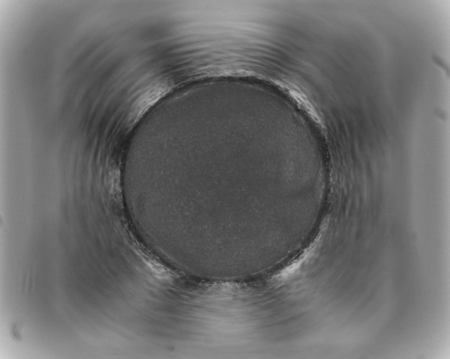 X0000096480881200802071917