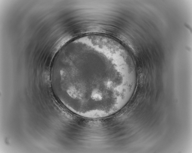 X0000096480882200802071917