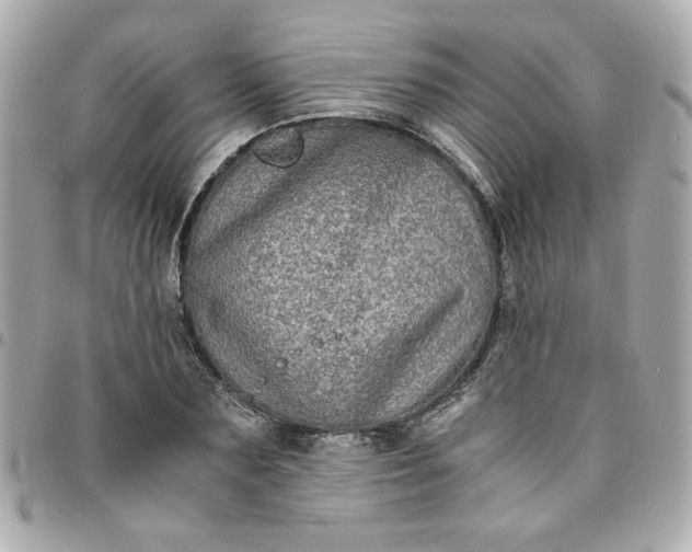 X0000096480883200802071917