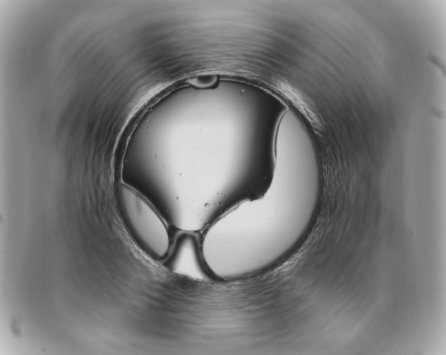 X0000096480884200802071917