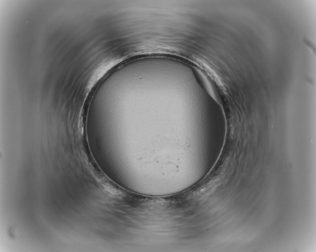 X0000096480885200802071917