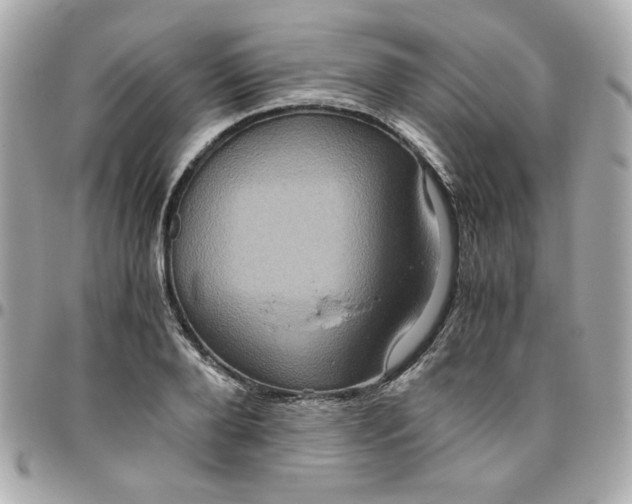 X0000096480888200802071917