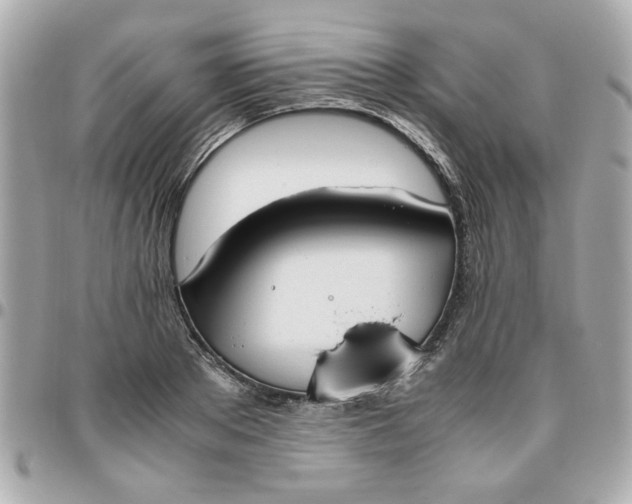 X0000096480889200802071917