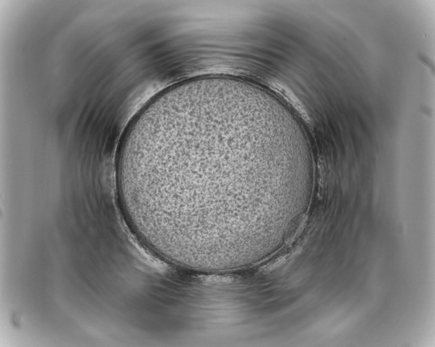 X0000096480890200802071917