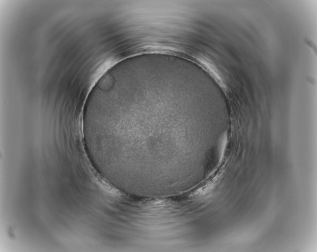 X0000096480891200802071917