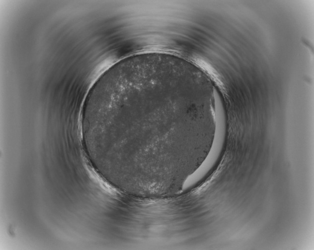 X0000096480892200802071917