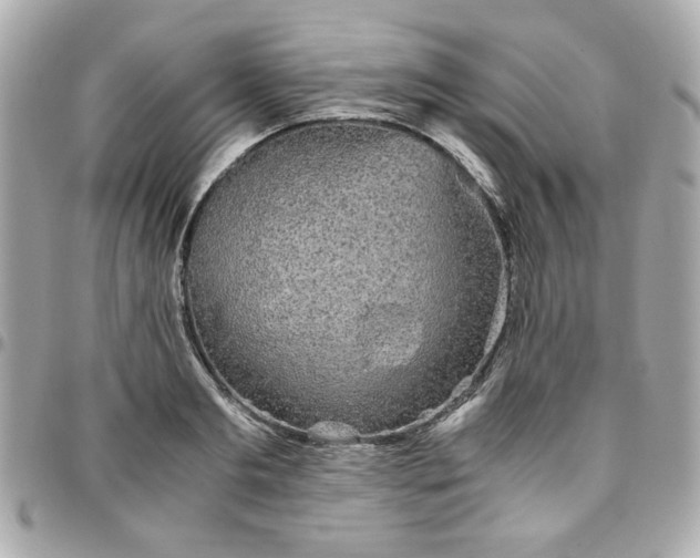 X0000096480893200802071917