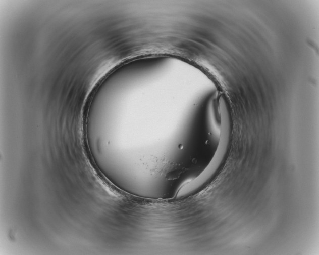 X0000096480894200802071917