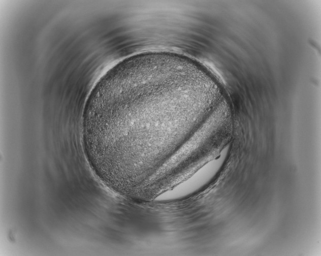 X0000096480895200802071917