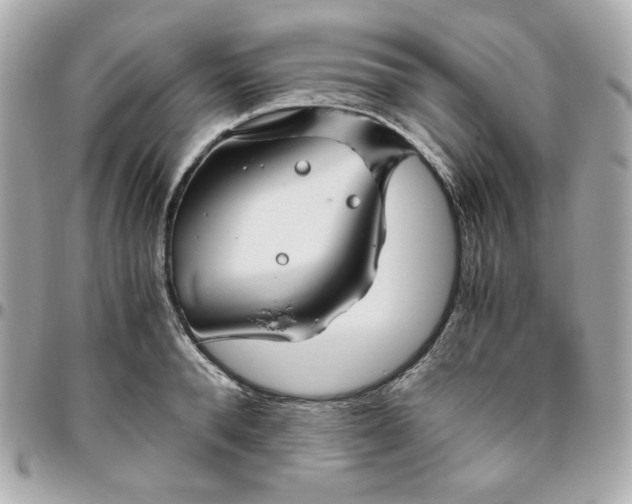 X0000096480896200802071917