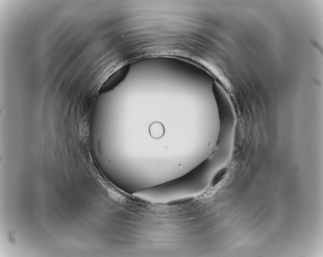 X0000096480897200802071917