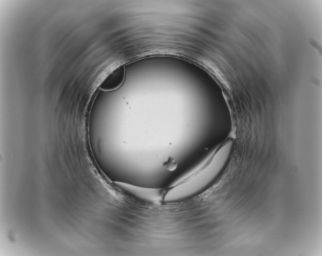 X0000096480898200802071917