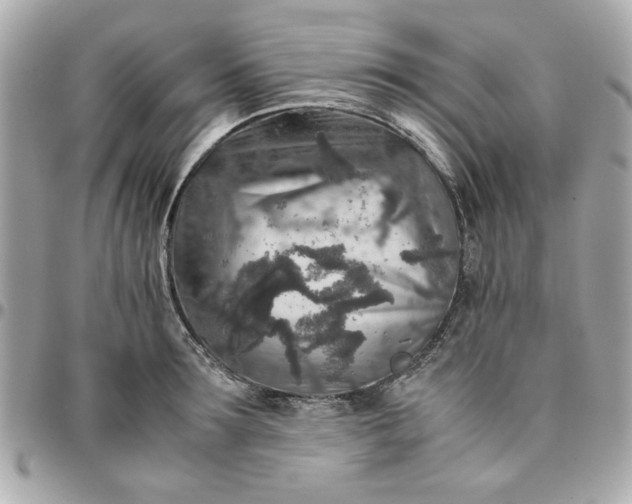 X0000096480899200802071917