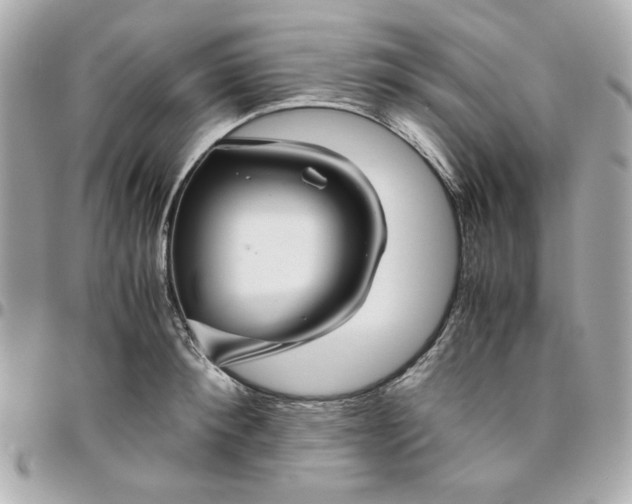 X0000096480900200802071917