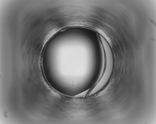 X0000096480901200802071917