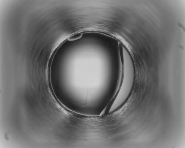 X0000096480902200802071917