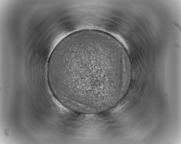 X0000096480903200802071917