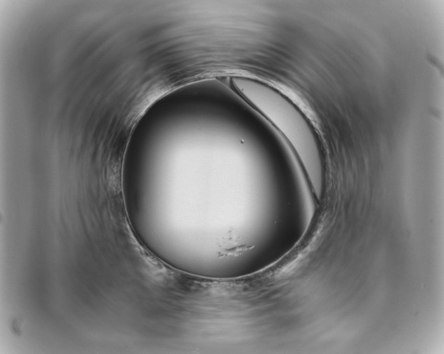 X0000096480905200802071917