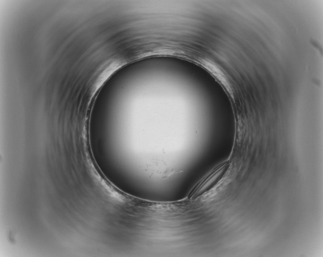 X0000096480906200802071917