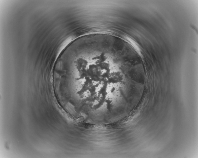 X0000096480907200802071917