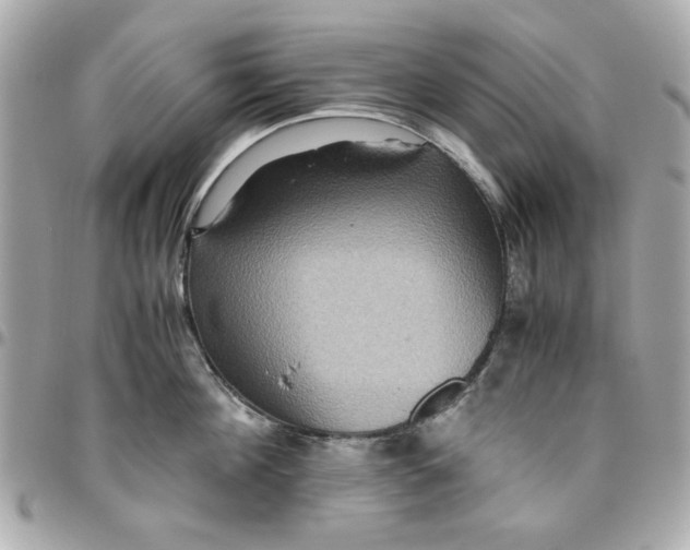 X0000096480908200802071917